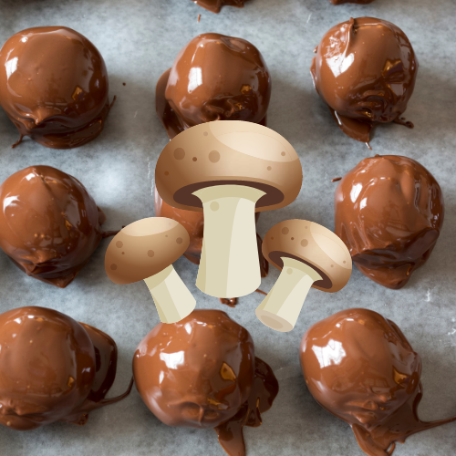 The Mushroom Chocolate Trend: What Buyers Need to Know
