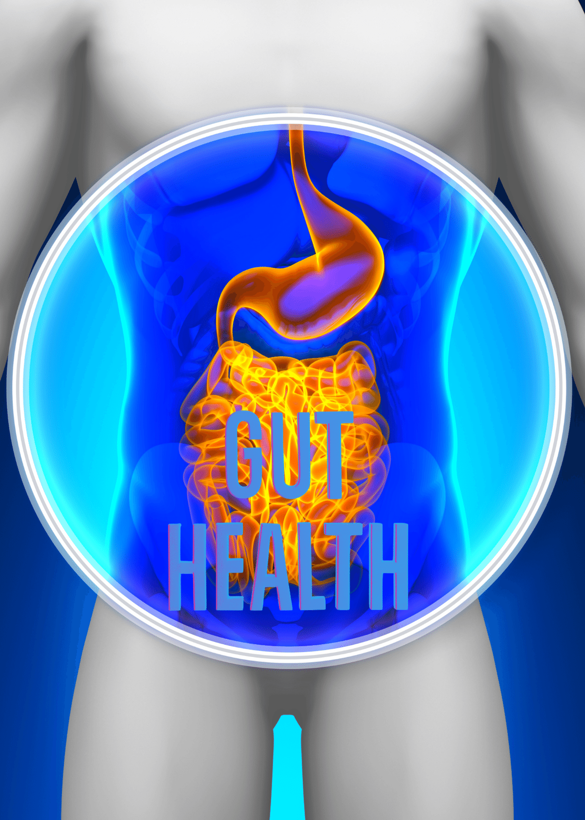 Gut Health Book